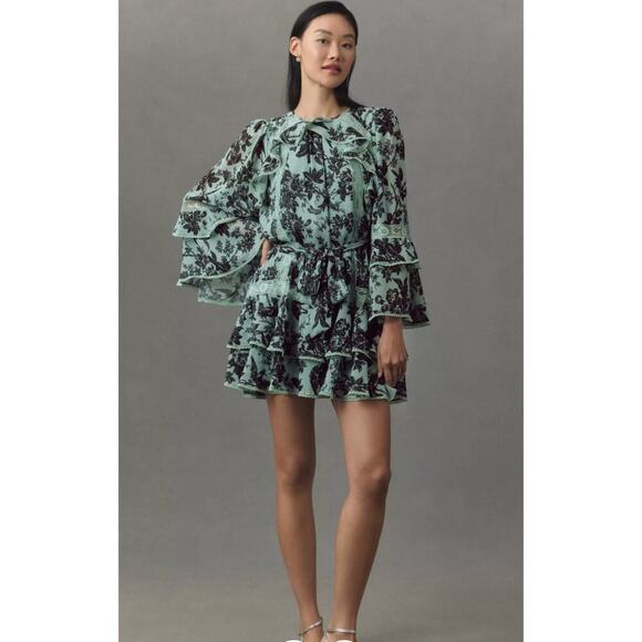 Anthropologie BHLDN Camila Long-Sleeve Chiffon Mini Dress Size Medium - Picture 3 of 16
